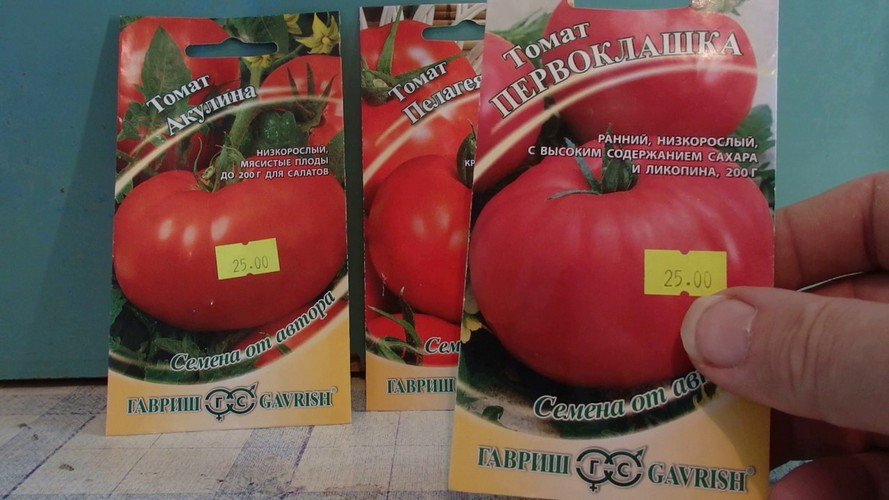 Как вырастить рассаду помидор в домашних условиях? 
