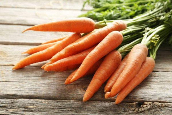 Как сохранить морковь на зиму в подвале и подполе 