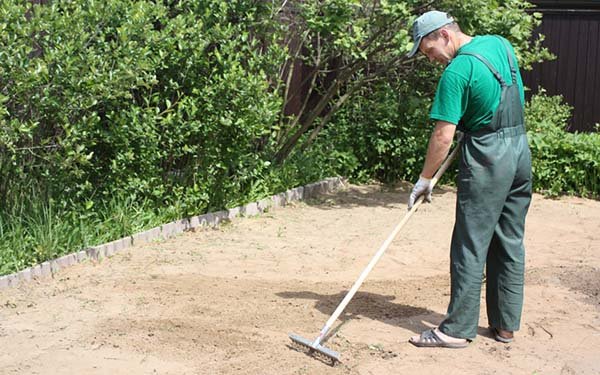Как сделать газон на даче своими руками: правильная подготовка и посев травы 