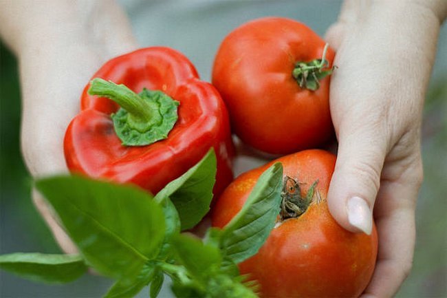 Удобрение для рассады томатов и перца 