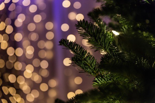 Как выбрать искусственную елку на Новый год 