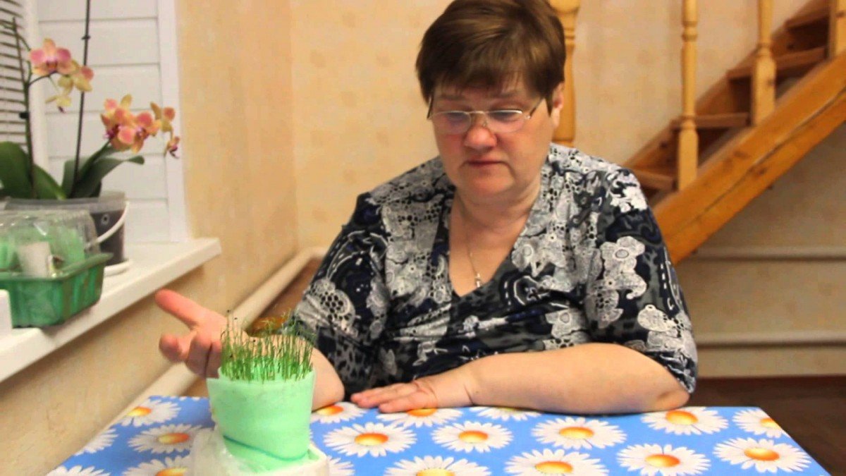 Посадка семян в улитку с туалетной бумагой видео Юлия Минаева 