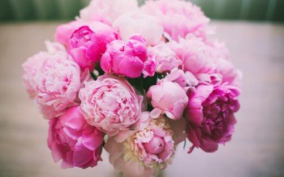 Популярные и лучшие цветы для составления букетов - названия, сочетания и фото 