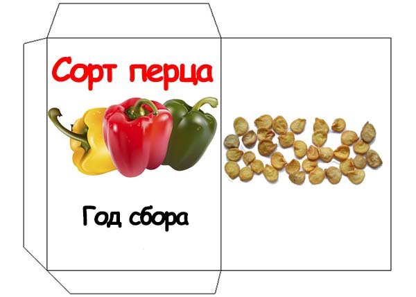Как собрать и заготовить семена перца в домашних условиях: сладкого болгарского и горького чили 