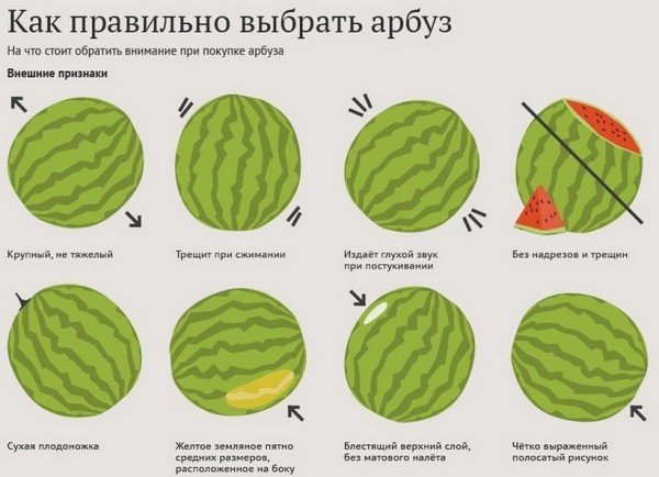 Как выбрать арбуз – признаки, что он спелый, сладкий и без нитратов 