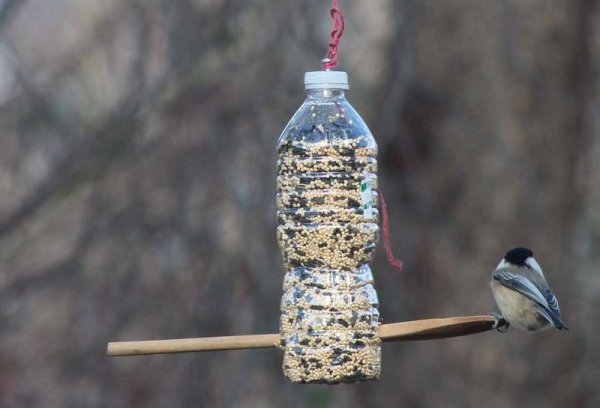 Кормушка для птиц из пластиковой бутылки своими руками: оригинальные идеи и их фото