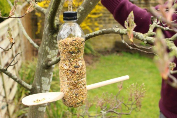 Кормушка для птиц из пластиковой бутылки своими руками: оригинальные идеи и их фото 