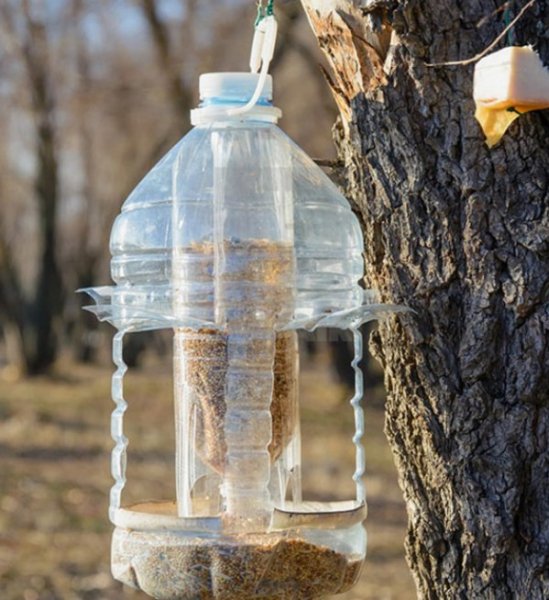 Кормушка для птиц из пластиковой бутылки- идеи и советы по изготовлению