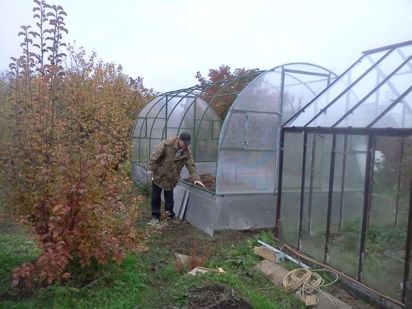 Осенняя обработка теплицы после сбора урожая подготовка почвы к новому сезону 