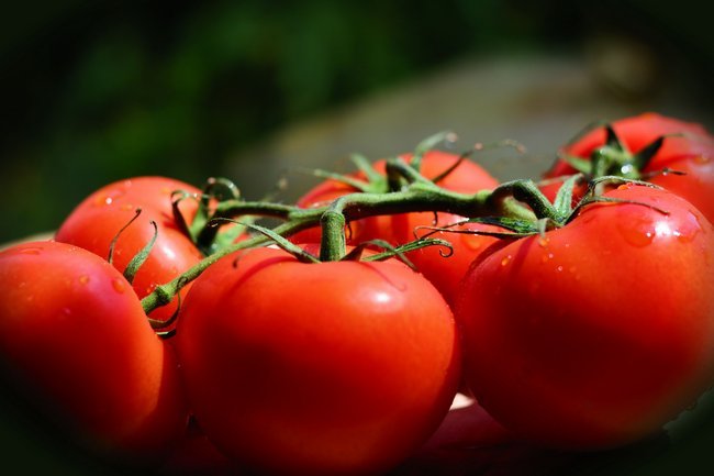 Чем подкормить помидоры в период плодоношения 