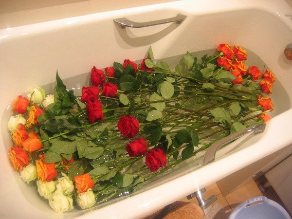 Как сохранить розы в вазе дольше всего в какую воду ставить, что в нее добавить 