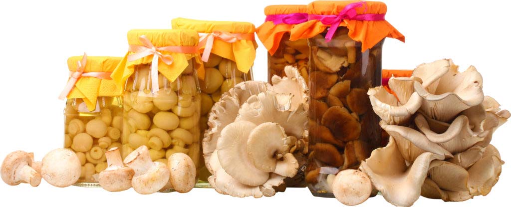 Что такое ботулизм и чем он опасен, и как не отравиться грибами? 