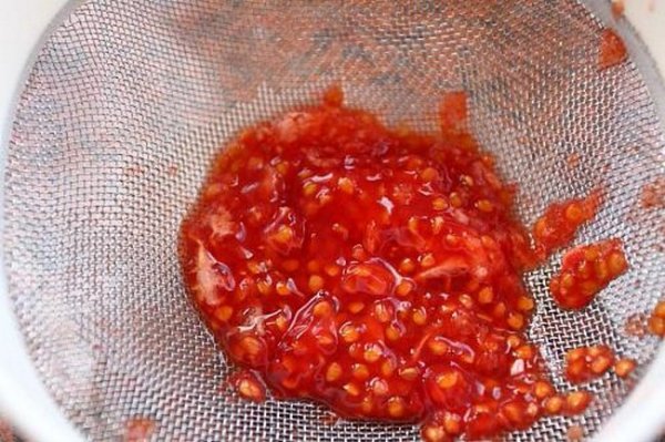 Как заготовить семена помидоров в домашних условиях 