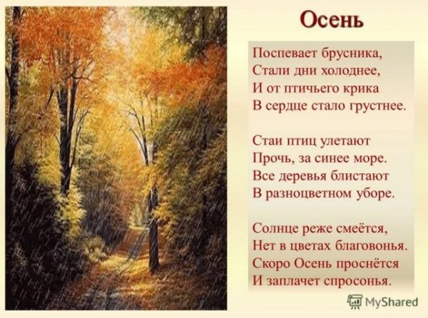 Стихи про осень для детей сборник коротких и красивых стихов для заучивания 
