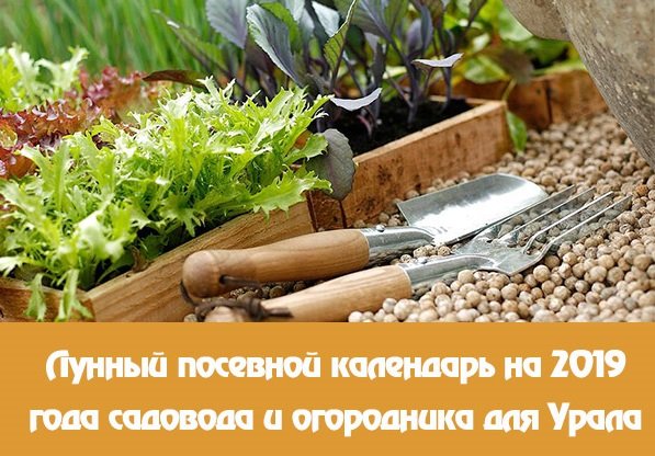 Лунный посевной календарь на 2019 года садовода и огородника для Урала. 