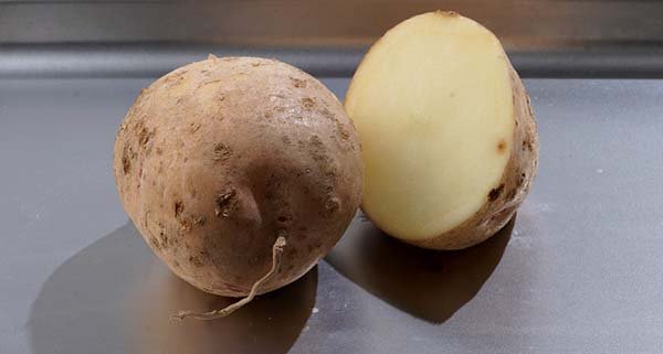Сорта белого картофеля с белой мякотью - описания, характеристики и фото 