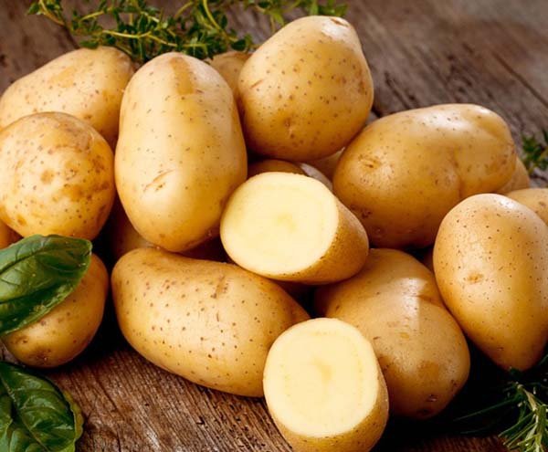 Лучшие сорта картофеля для Урала ранние, средние, поздние c описанием и фото, характеристики 