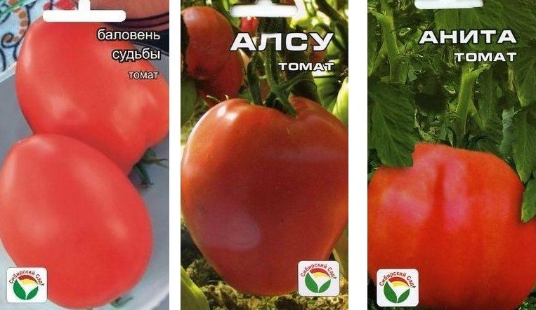 Низкорослые томаты помидоры для открытого грунта 2019 — лучшие сорта помидоров без пасынкования 