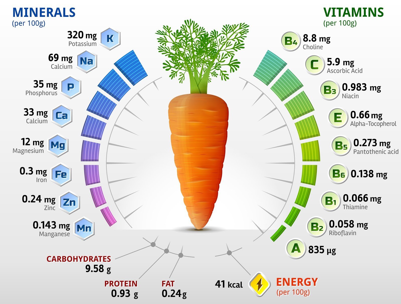 Полезные свойства моркови — состав и противопоказания
