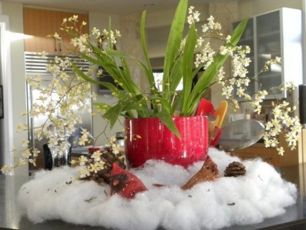 Как украсить комнатные растения к празднику быстро и без вреда 
