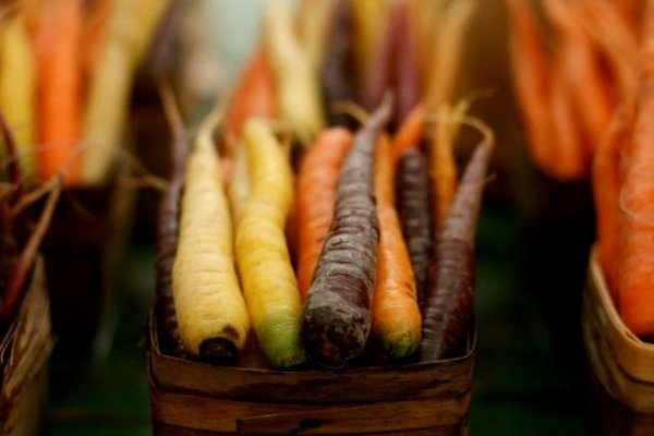 Полезные свойства моркови - состав и противопоказания 