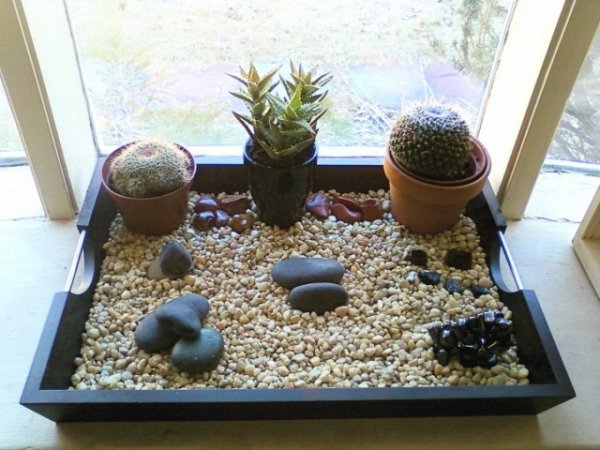 Сад камней в интерьере — особенности создания и выбор растений. Уход. Фото и видео 