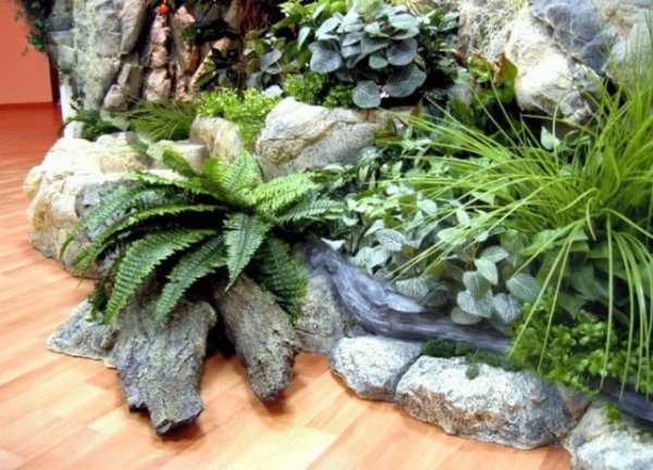 Сад камней в интерьере — особенности создания и выбор растений. Уход. Фото и видео 