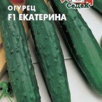 Новые сорта огурцов 2019 для открытого грунта - фото и описание 