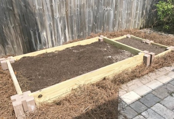 Как использовать хвою в саду и огороде - мульча, компост и удобрение 