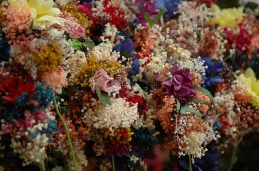 Сухоцветы и способы высушивания цветов, как засушить цветы и сделать гербарий 