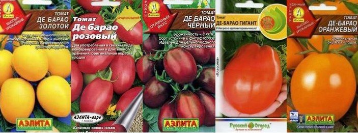 Лучшие сорта томатов помидоров на 2019 год для Урала и Сибири. Отзывы и фото сортов томатов 