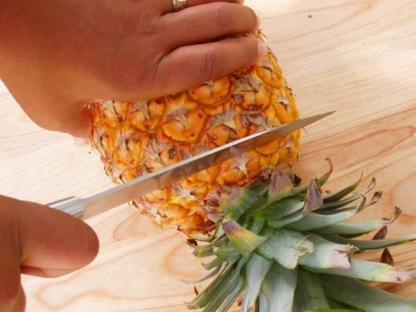 Как вырастить ананас из верхушки в домашних условиях + фото и видео 
