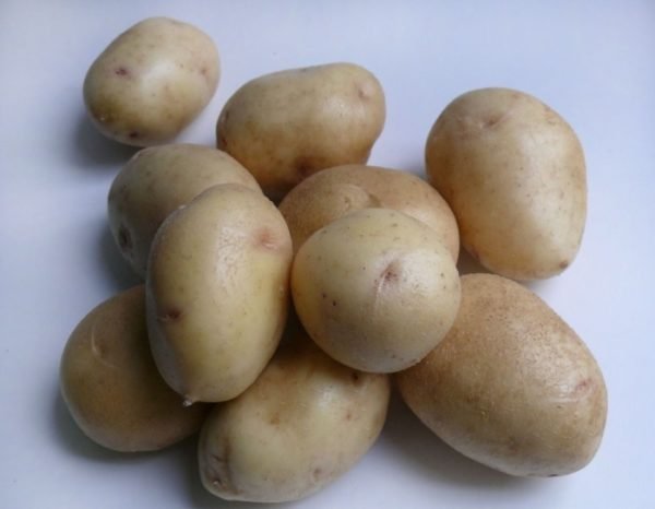 Хранение картофеля в домашних условиях, в том числе зимой: температура и условия 