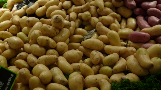 10 секретов выращивания картофеля в домашних условиях 