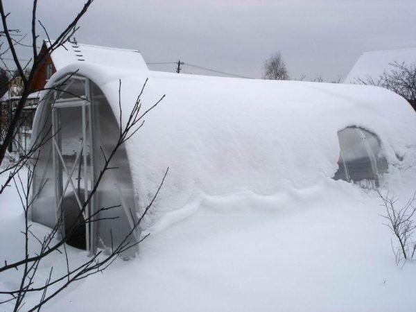 Подготовка теплицы к зиме советы дачников, этапы и прочие нюансы 