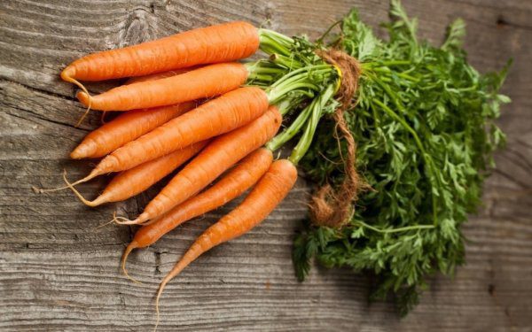 Хранение моркови в домашних условиях на зиму 