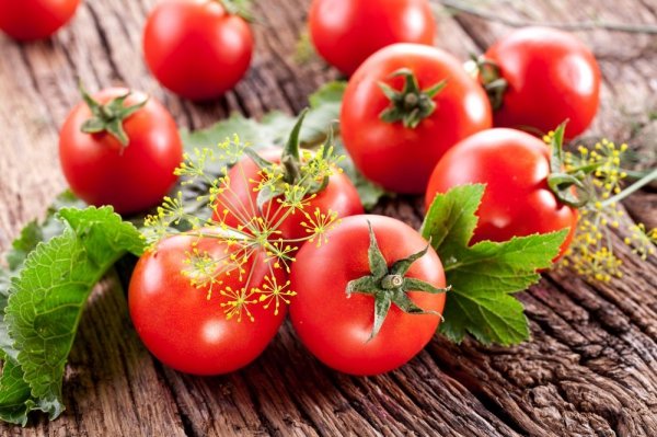 Выращивание рассады томатов в пеленках от Галины Кизимы. 