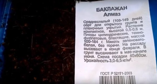 Когда садить баклажаны на рассаду в 2019 году в Сибири? 