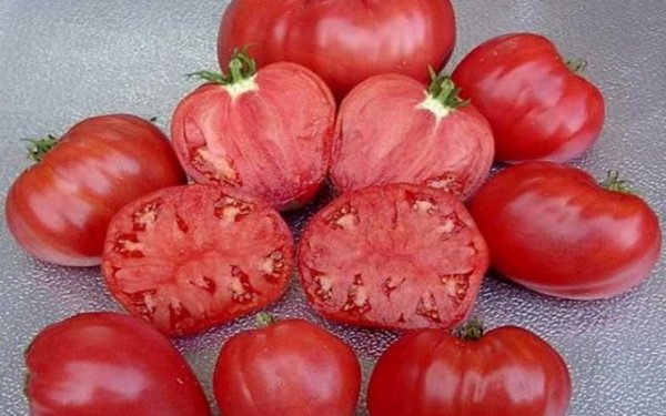 Сорта помидор сибирской селекции с фото и описанием 