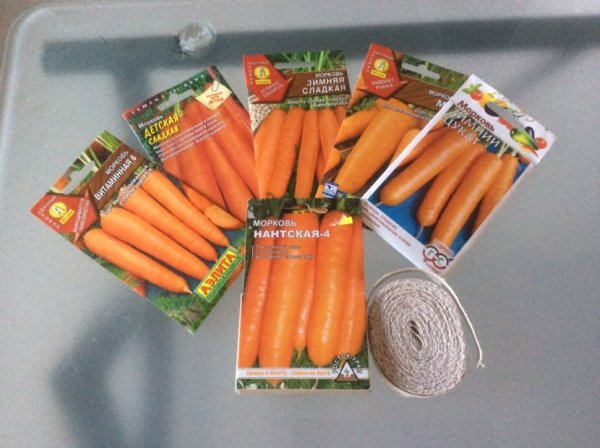 Посадка моркови весной в открытый грунт без прореживания 