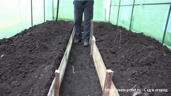 Обработка почвы в теплице для повышения урожайности. 