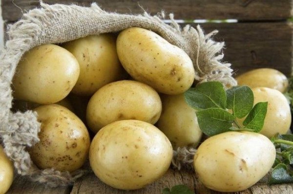 Чем обработать картофель перед посадкой от болезней? 