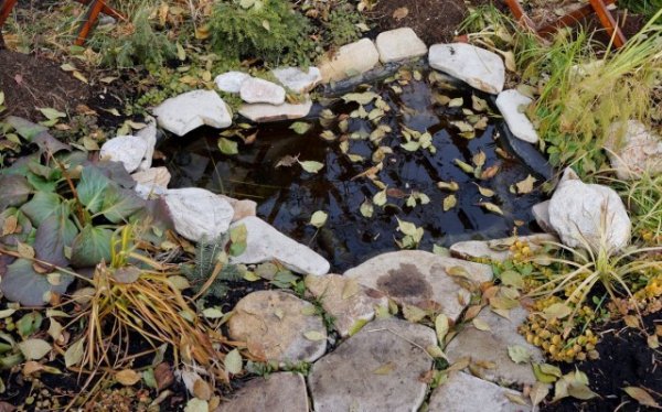 Как установить и оформить пластиковый пруд в саду. Выбор чаши, декор и озеленение 