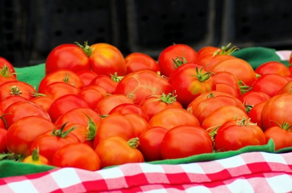 Как обрезать помидоры в открытом грунте чтобы был хороший урожай. 